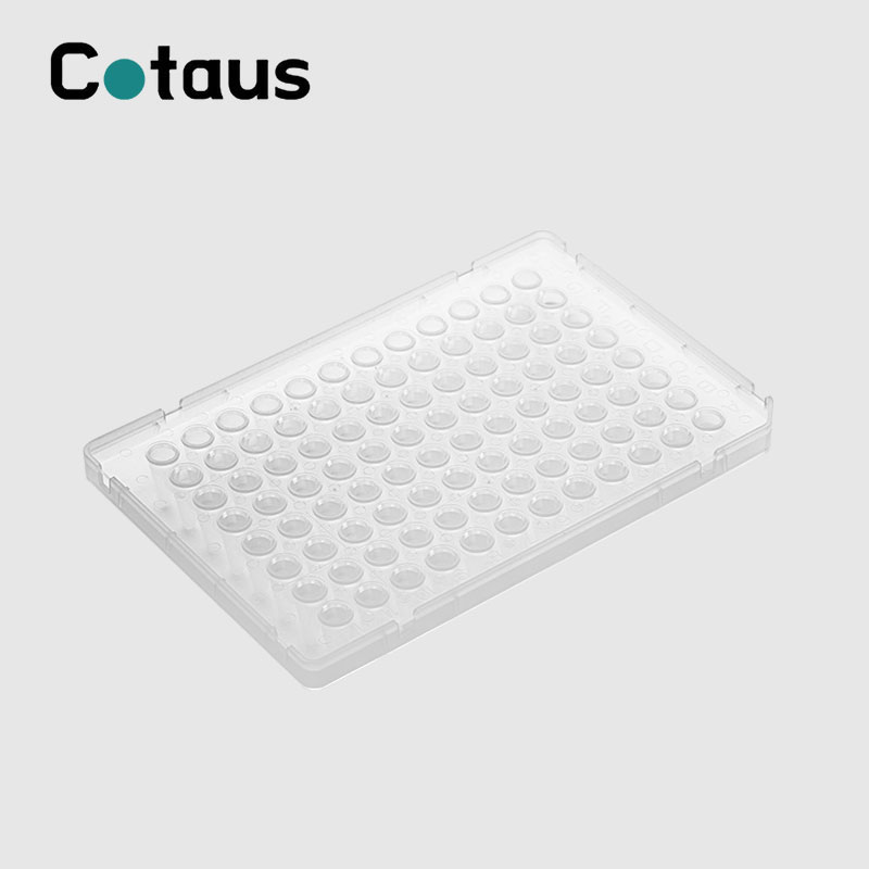 96 Tsara 0.1ml Fotsy Fotsy feno zipo PCR Plate