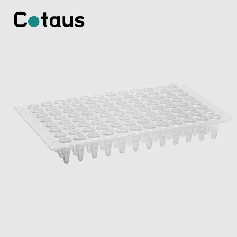 96 Tsara 0.2ml mangarahara tsy misy zipo PCR Plate